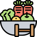 vegetables